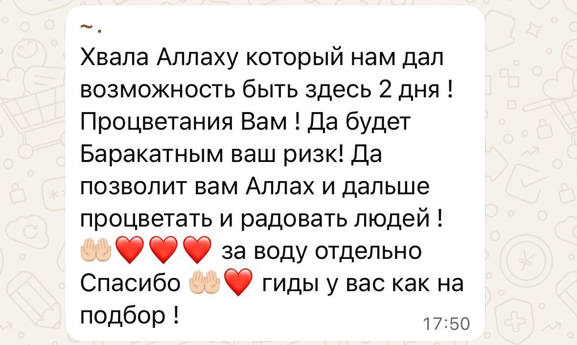 Скриншот отзыва из WhatsApp: Гость GO SAUDIA, семейная поездка